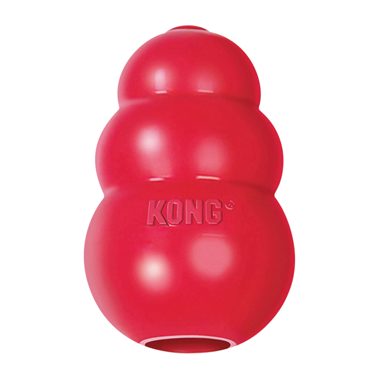 KONG Originals