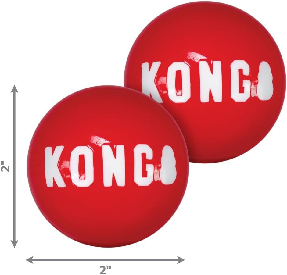 KONG Signature Balls 2-pk Small