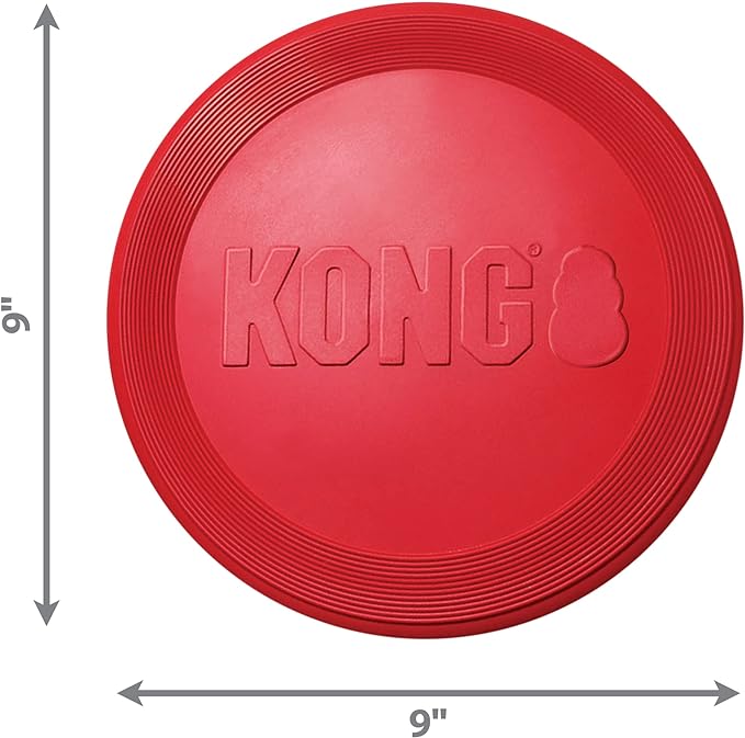 Kong Flyer Frisbee