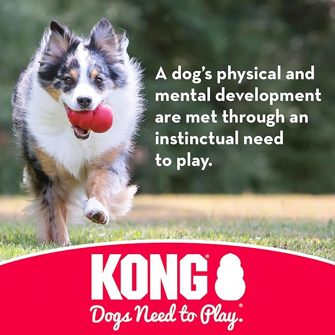 Kong Flyer Frisbee