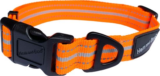 Sports Dog Collar - Orange