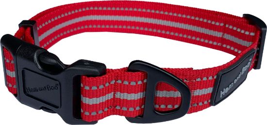 Sports Dog Collar - Red