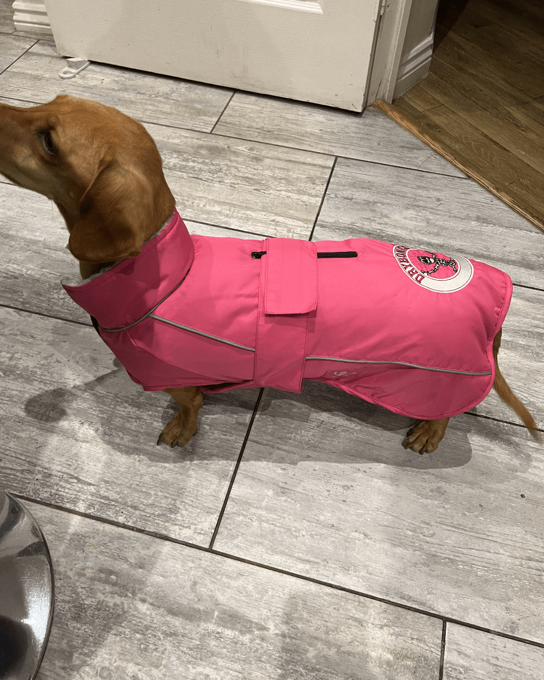 DRYBONES Waterproof Dog Coat - Pink