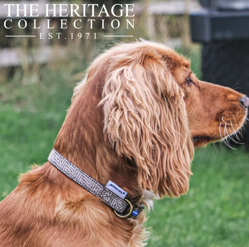 Herringbone Adjustable Collar