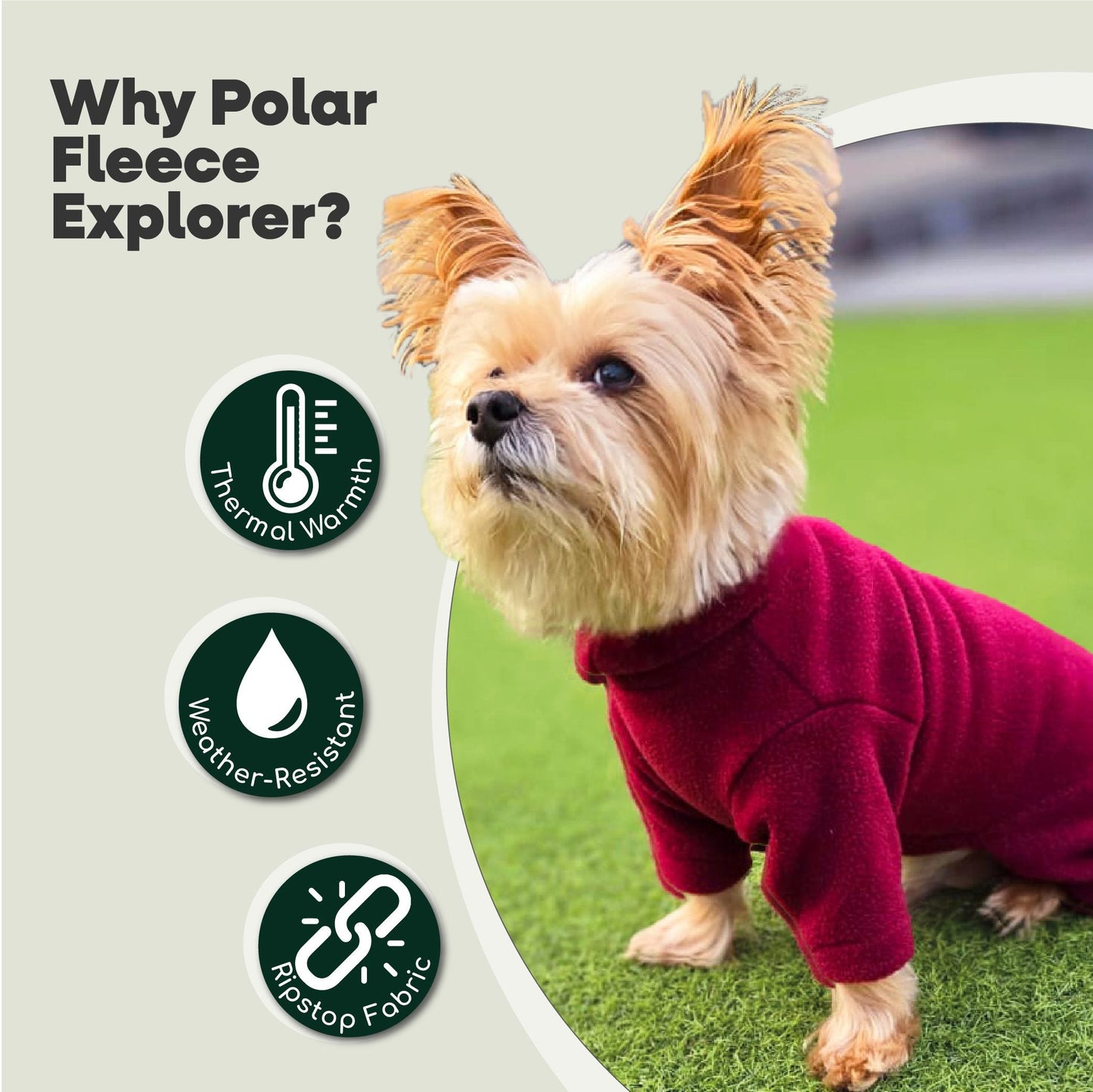 Legacy Polar Fleece Explorer Dog Coat - Mulberry