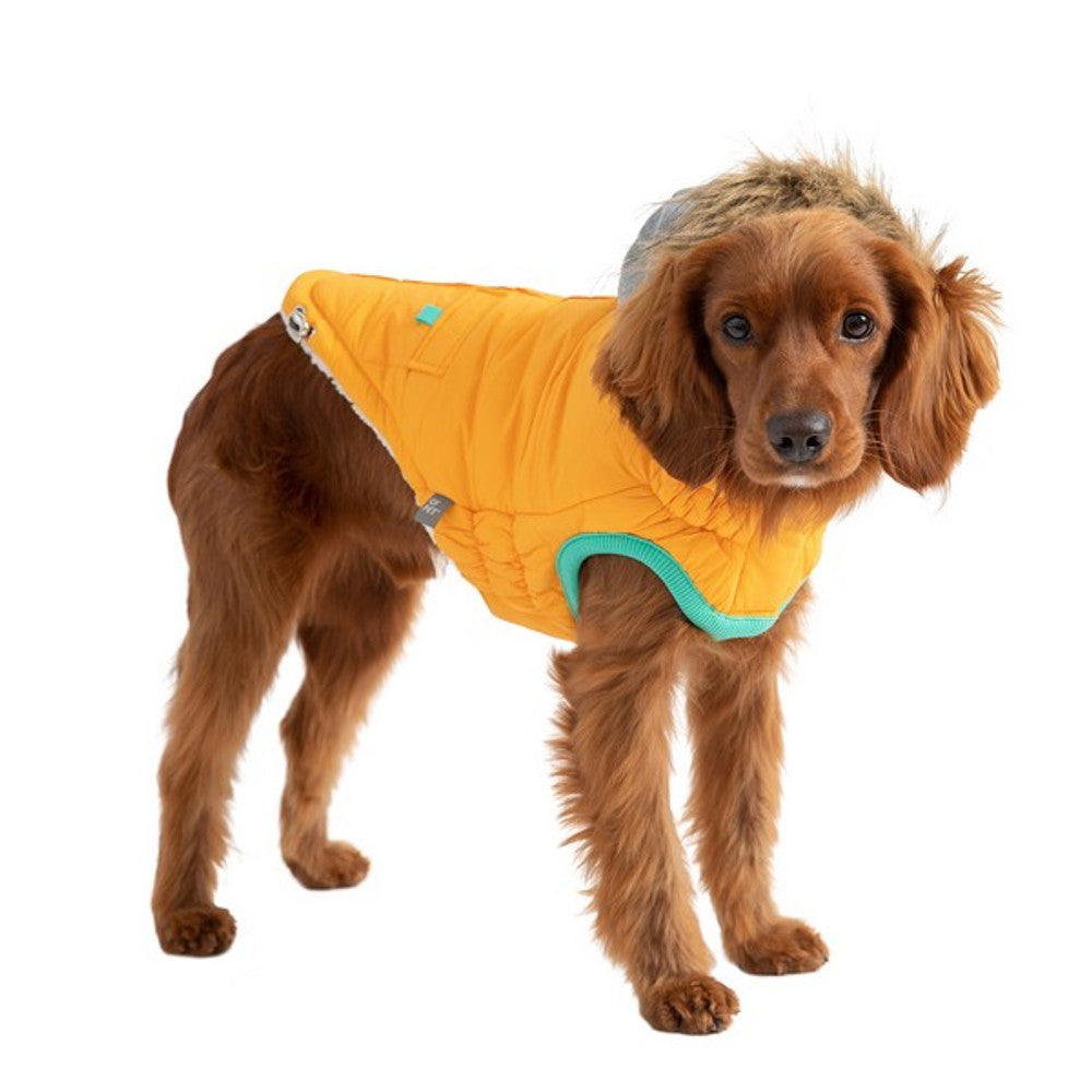 Winter Sailor Parka Dog Coat - Yellow