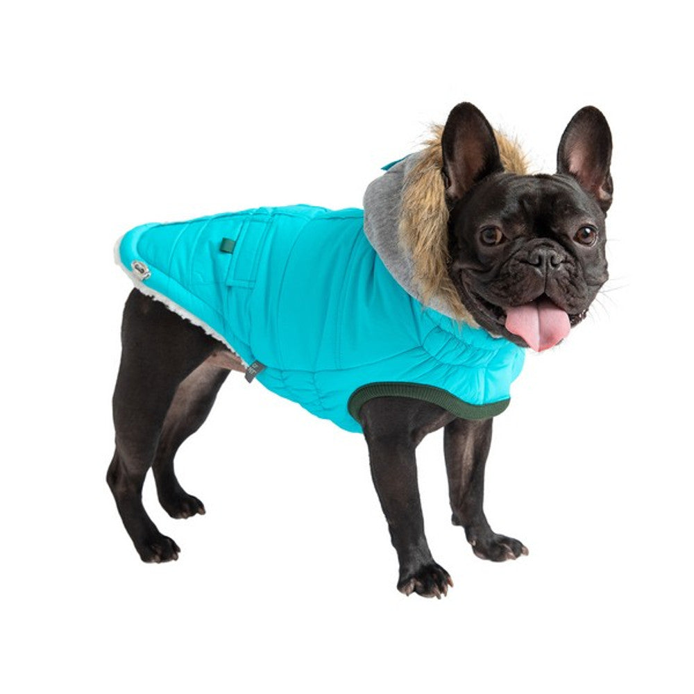 Winter Sailor Parka Dog Coat - Aqua