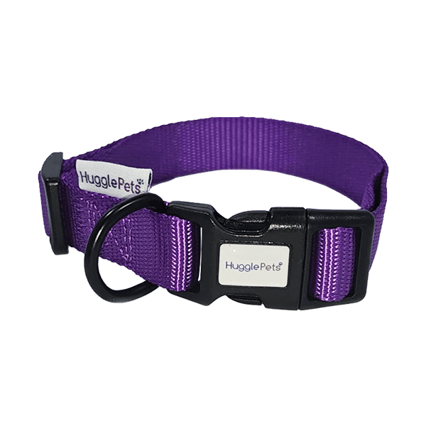 Snappy Adjustable Dog Collar - Purple